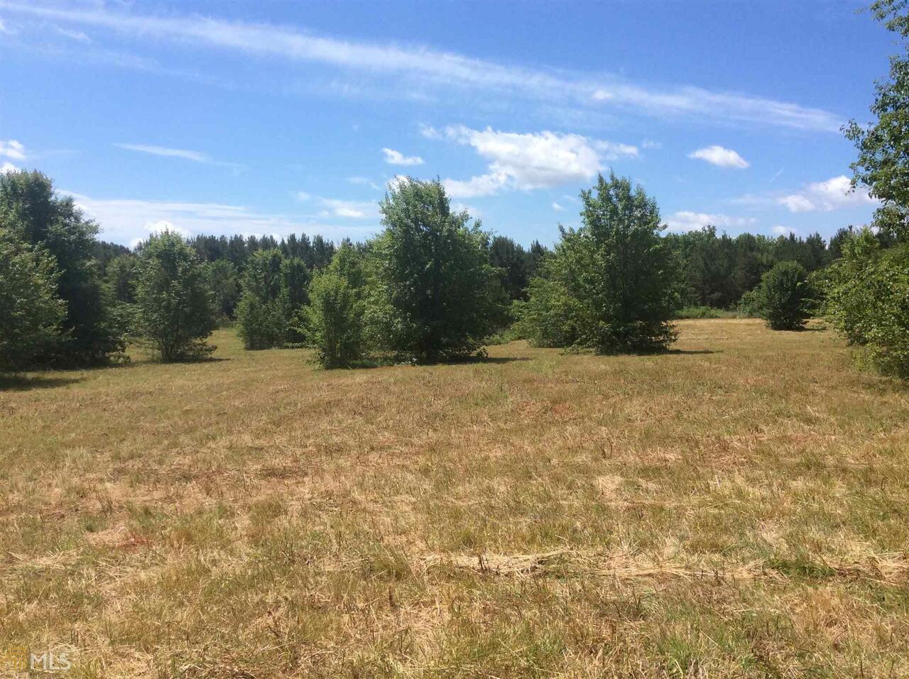 a view of a yard with trees in the background