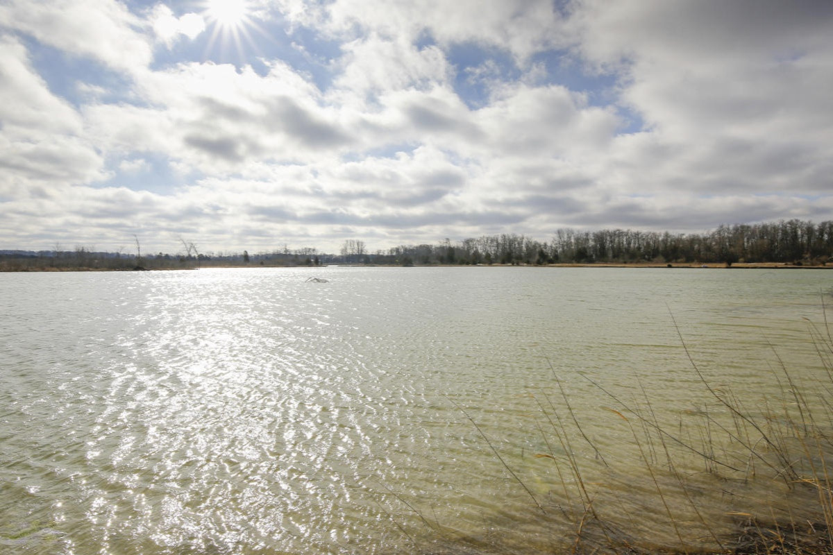 2160 8 Mile Road Union City, MI 49094 - Photo 3 of 39 2160 8 Mile Rd-103