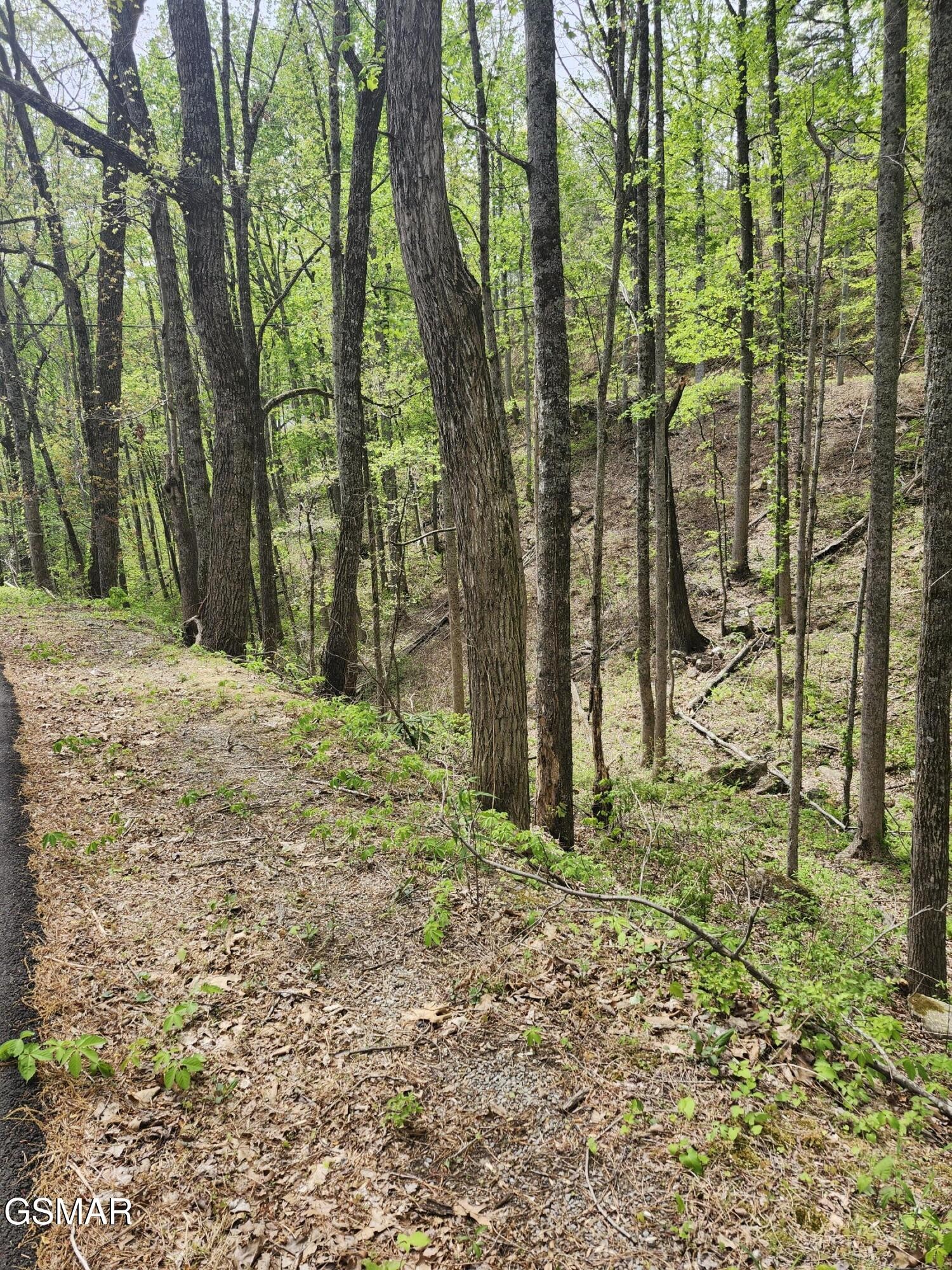 1 Hatcher Mountain Road Sevierville, TN 37862 - Photo 10 of 10