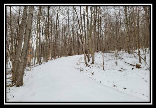 0 Number 12 Hollow Road Wellston, OH 45692 - Photo 15 of 45 image015