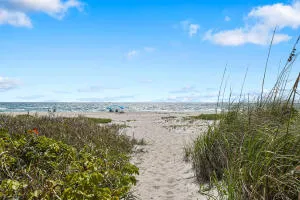 a view of an ocean beach