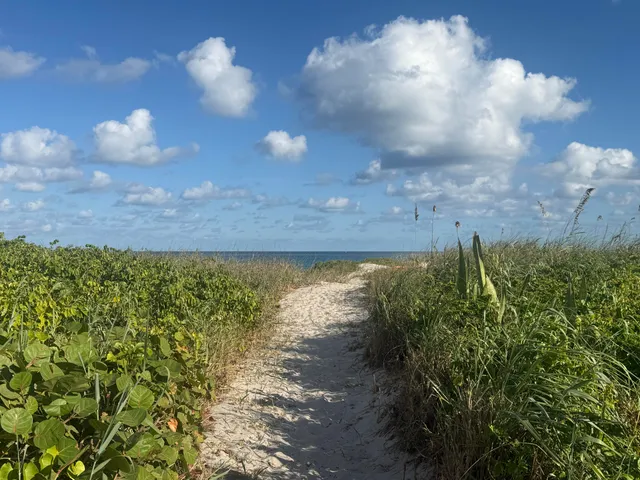 a view of a lake with a yard