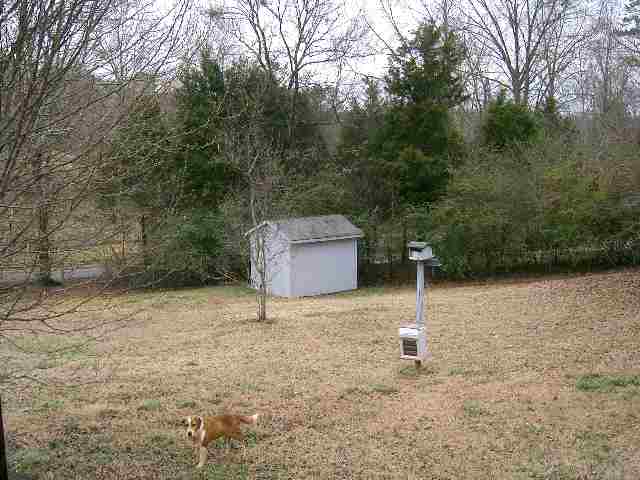 298 Spring Valley Road Seneca, SC 29678 - Photo 4 of 8 Gallery Image 4