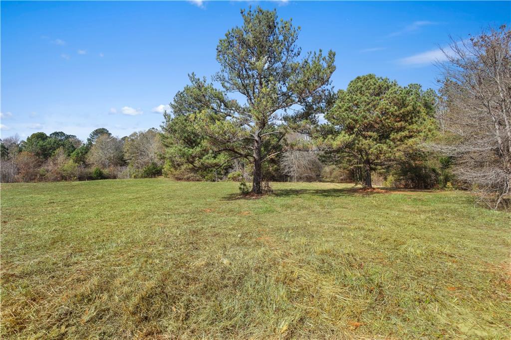 63 Paul Smith Road Covington, GA 30014 - Photo 3 of 13 a view of outdoor space and yard