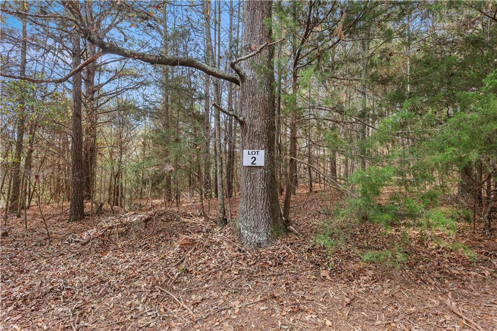 63 Paul Smith Road Covington, GA 30014 - Photo 4 of 13 a backyard of a house with lots of green space