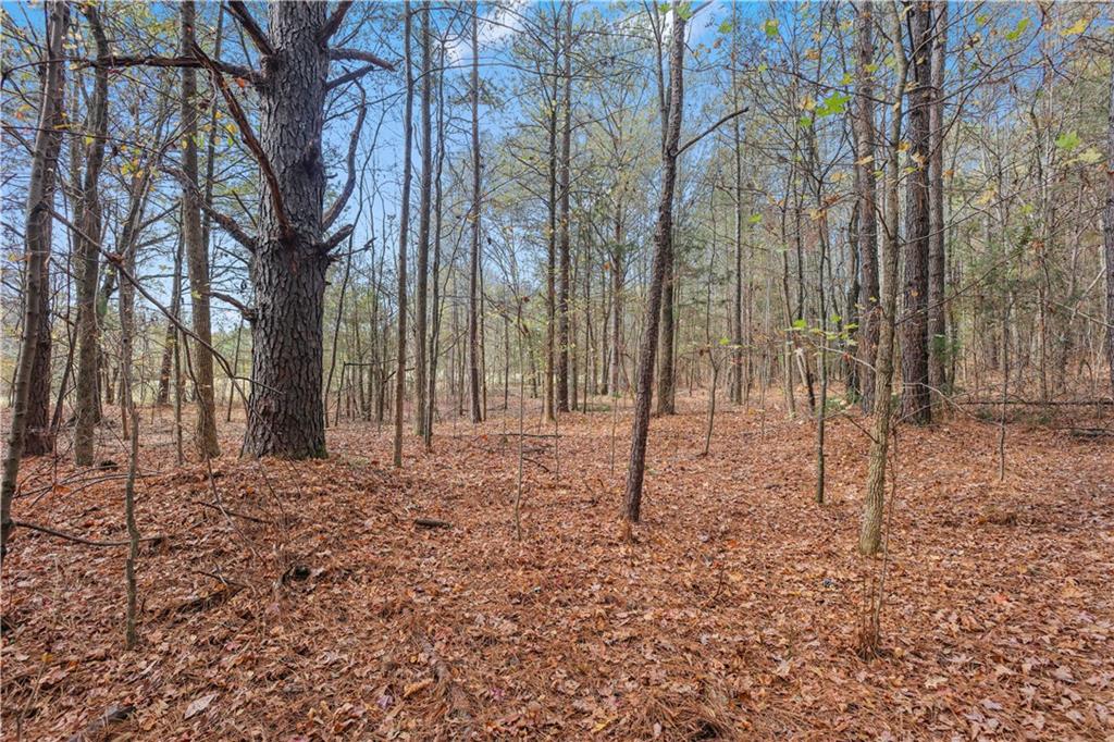 63 Paul Smith Road Covington, GA 30014 - Photo 5 of 13 a backyard of a house with lots of tall trees