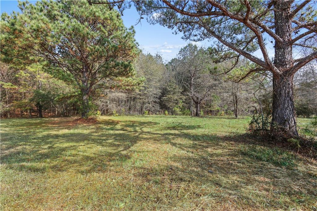 63 Paul Smith Road Covington, GA 30014 - Photo 6 of 13 a view of a field with trees