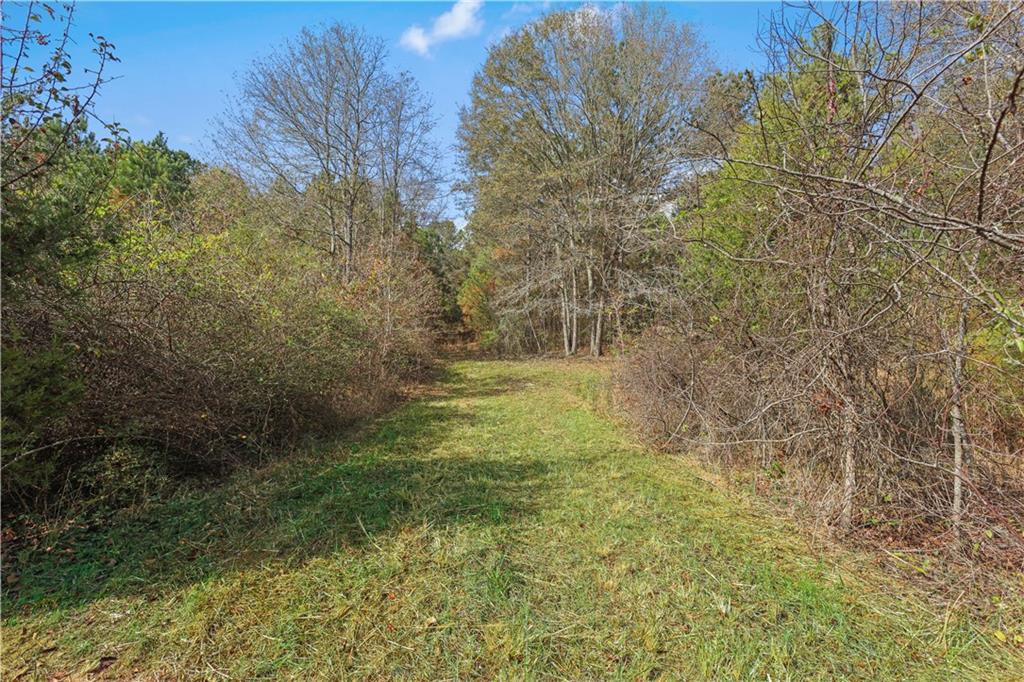 63 Paul Smith Road Covington, GA 30014 - Photo 8 of 13 a view of a yard