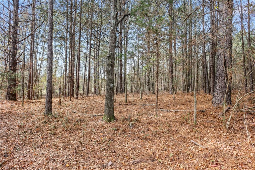63 Paul Smith Road Covington, GA 30014 - Photo 9 of 13 a house with trees in the background