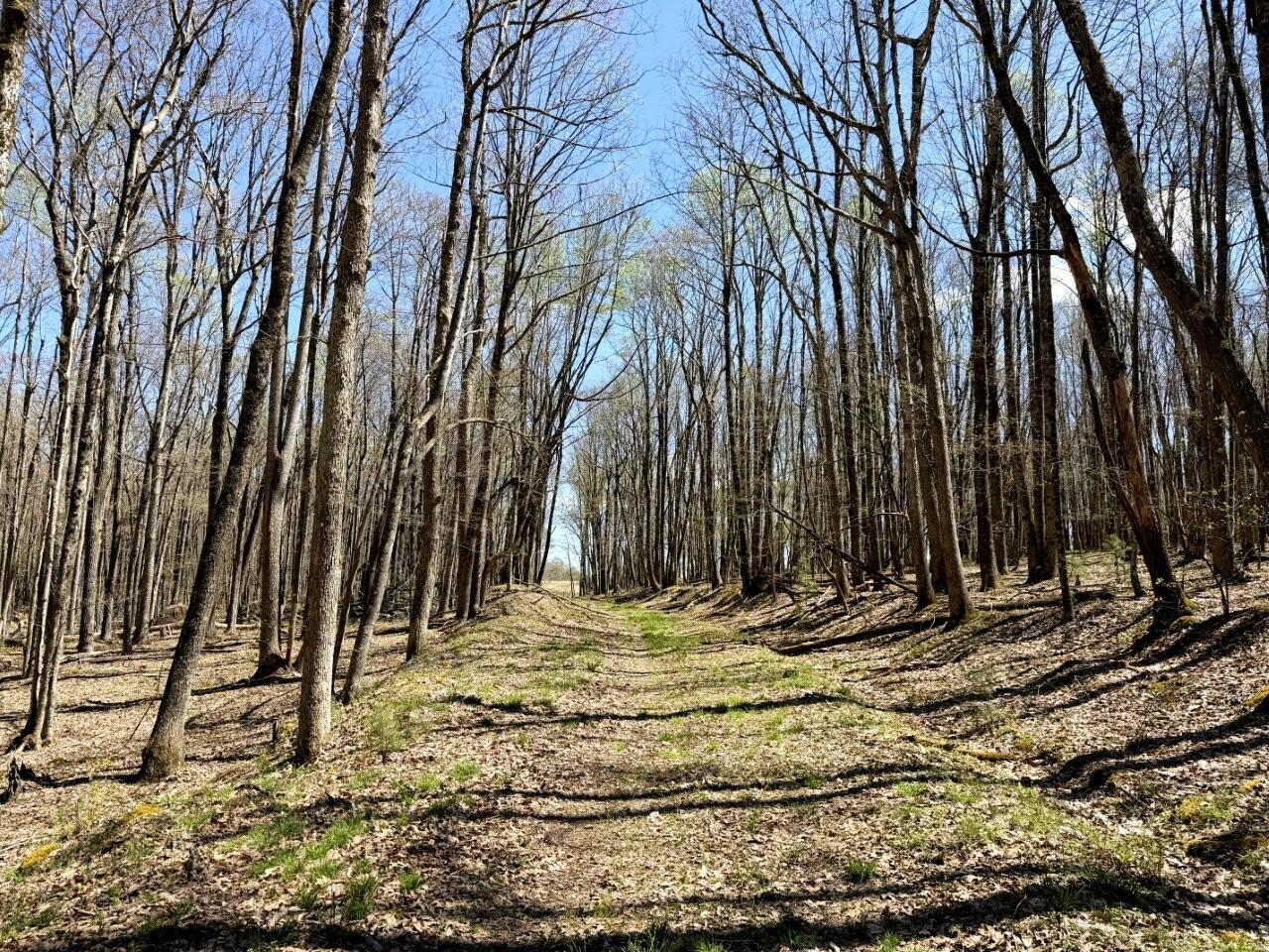 0 Iona Road White Oak, WV 25989 - Photo 126 of 150 Tract-16-IMG_3751