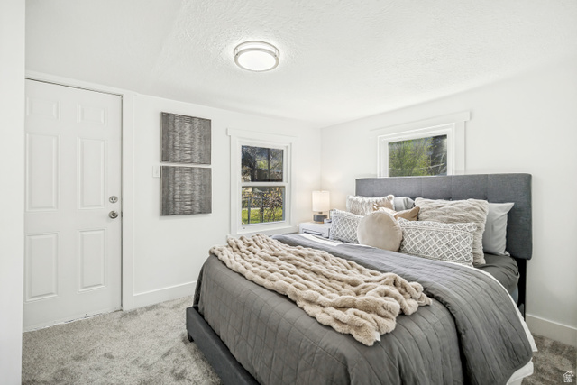 712 9th Street Ogden, UT 84404 - Photo 5 of 15 Bedroom featuring light-toned carpet flooring, white walls, and a multi-paneled door