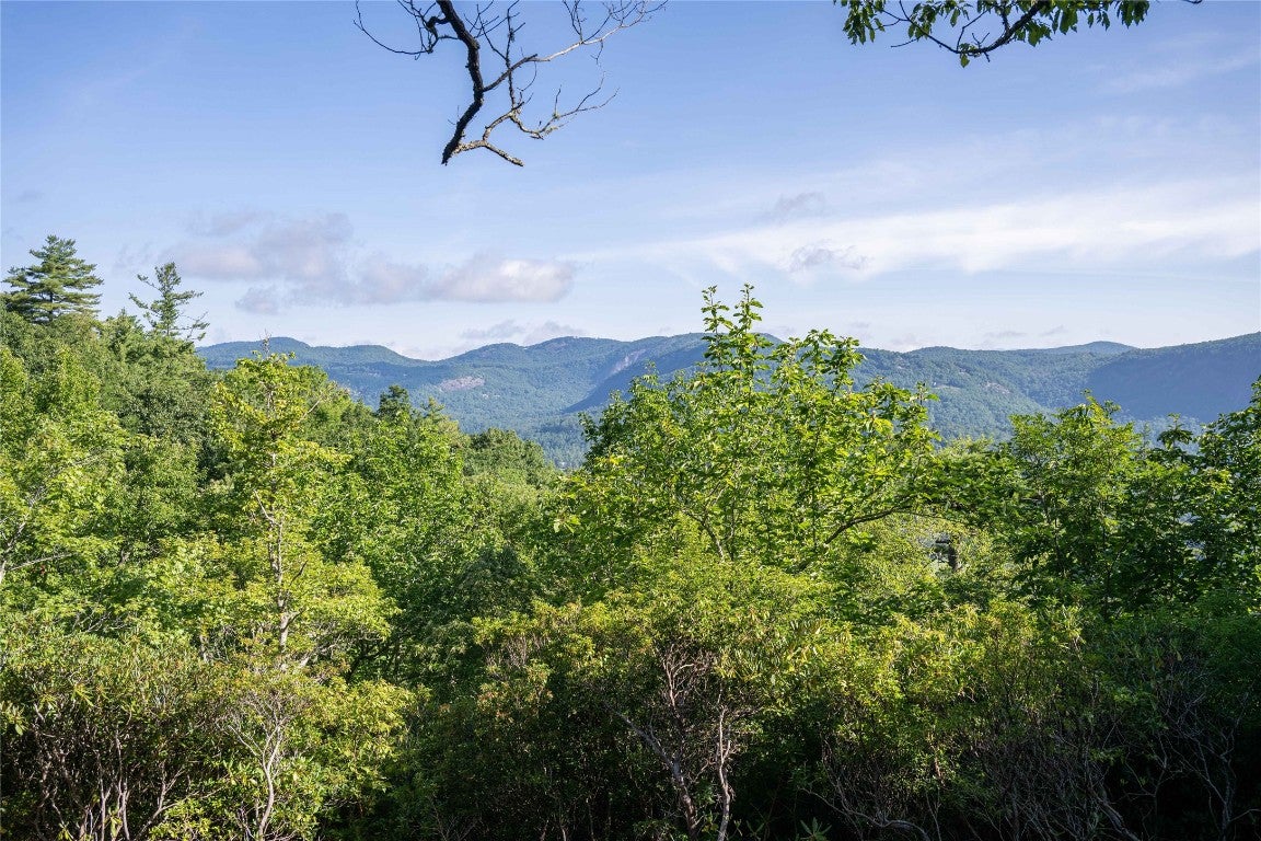 6 Long Wy Road Brevard, NC 28712 - Photo 14 of 21 Gallery Image 14