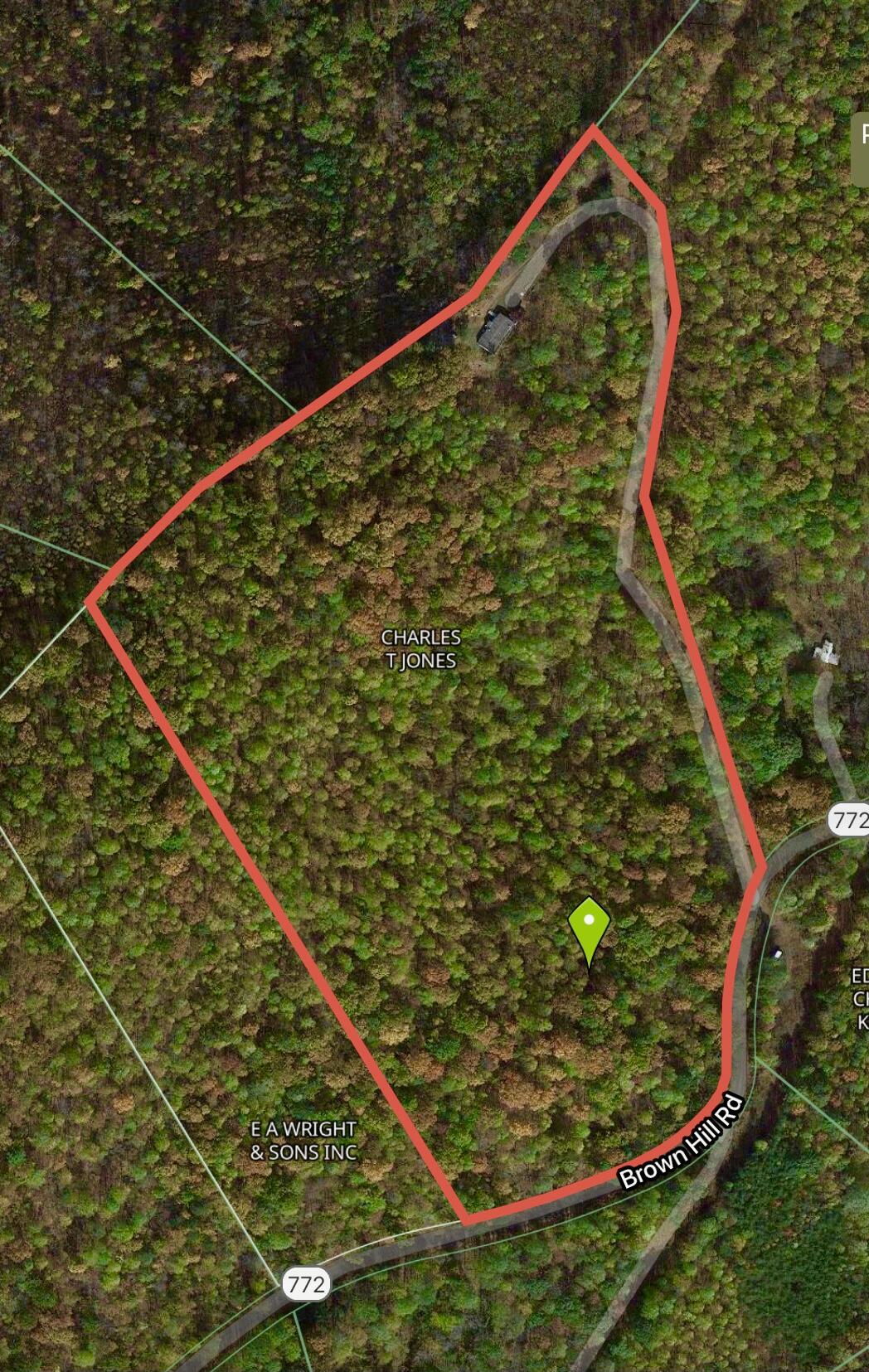 1005 Brown Hill Road Ferrum, VA 24088 - Photo 27 of 27 IMG_6067 5