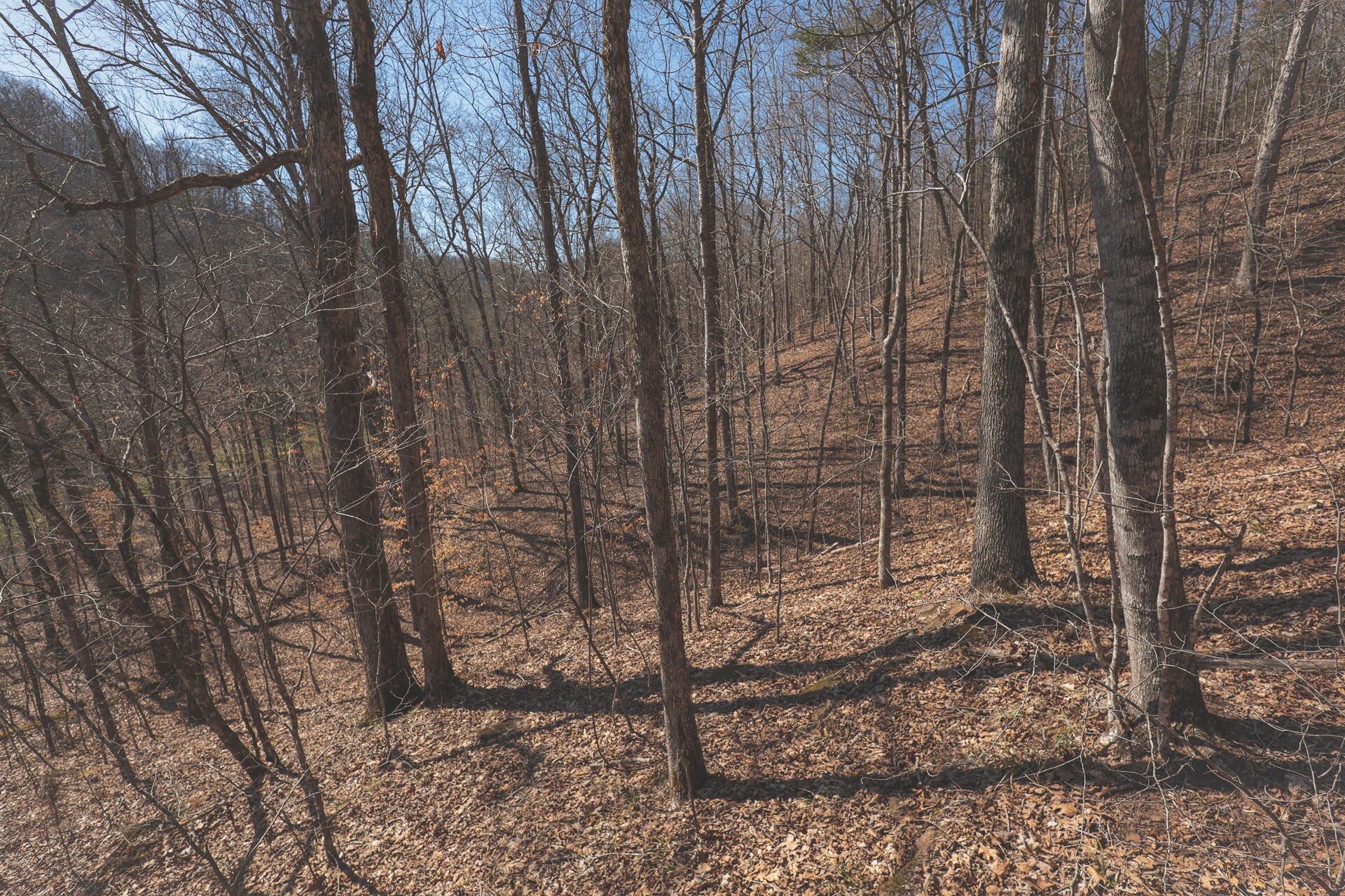 0 Fisher Hollow Road Georgetown, TN 37336 - Photo 57 of 81 Gallery Image 57