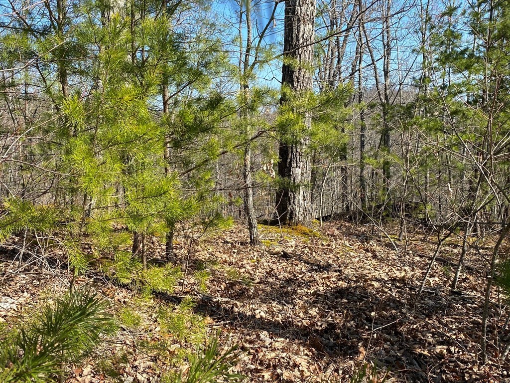 1706 Pinestand Rdg Way Sevierville, TN 37862 - Photo 3 of 8