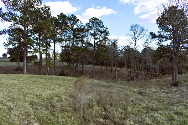 $179,500 | 8084 East Co Road 212, Buffalo, TX 75831