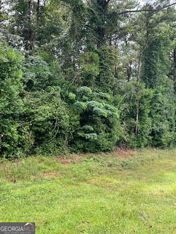 0 North Spring Creek Circle Cobb, GA 31735 - Photo 3 of 4 a view of a yard with a tree