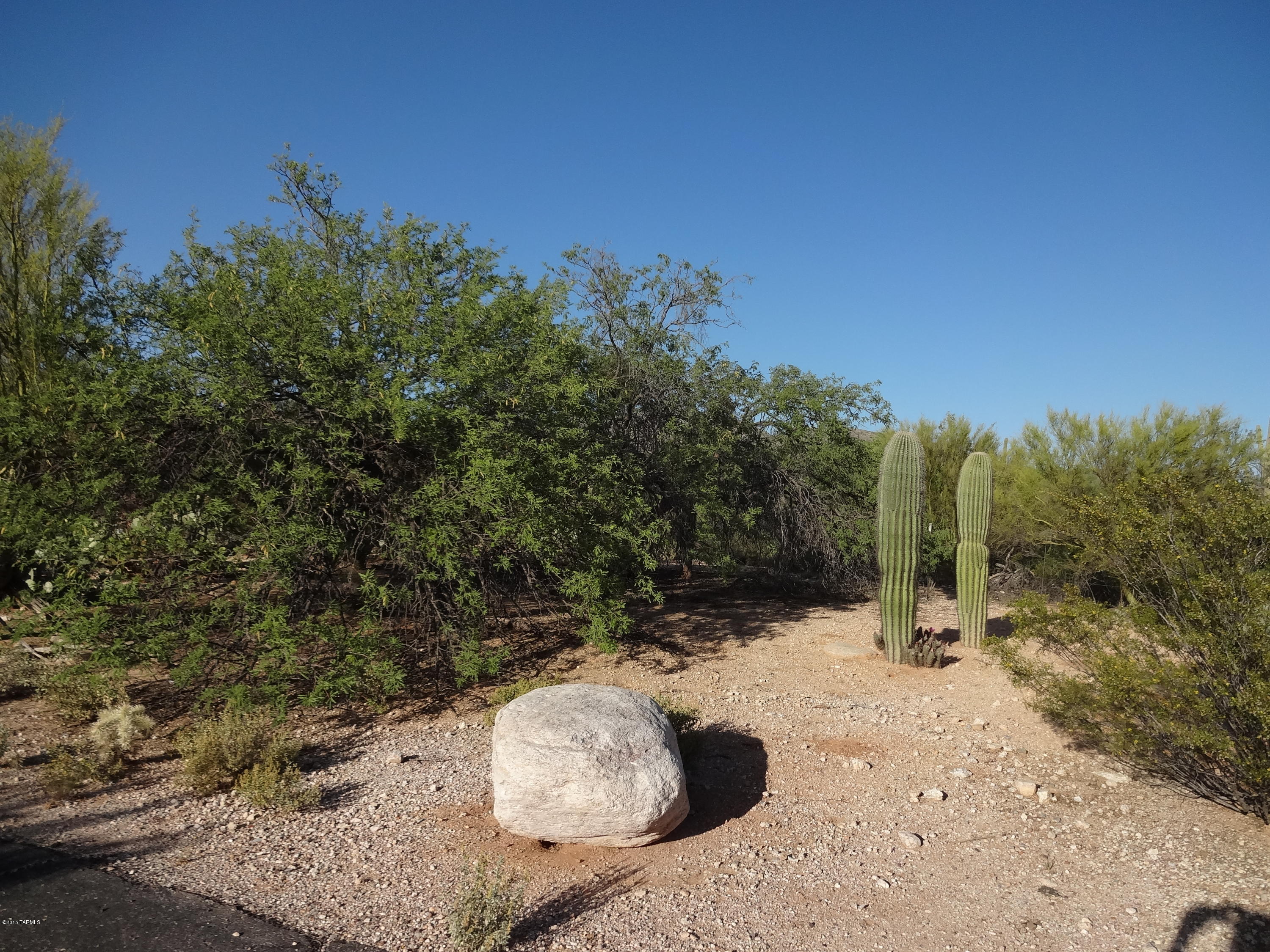 12656 East Fort Lowell Road Tucson, AZ 85749 - Photo 8 of 13 Gallery Image 8