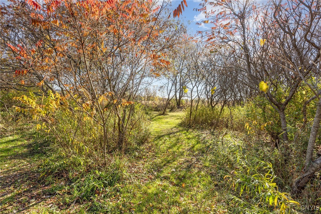 2690 Bear Swamp Road Chittenango, NY 13037 - Photo 27 of 33
