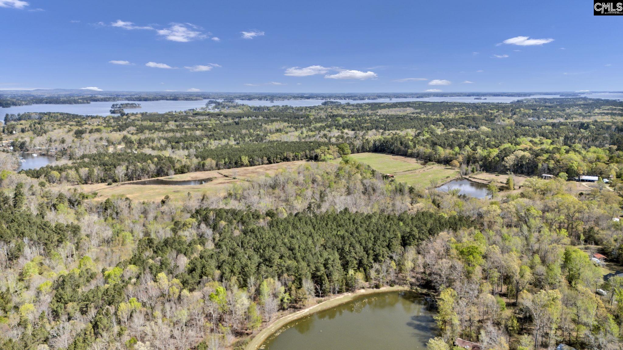 421-0 Shore Road Gilbert, SC 29054 - Photo 51 of 57