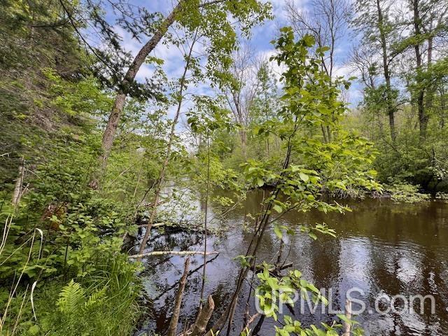 20.99-acres Old J Road Athelstane, WI 54104 - Photo 9 of 10