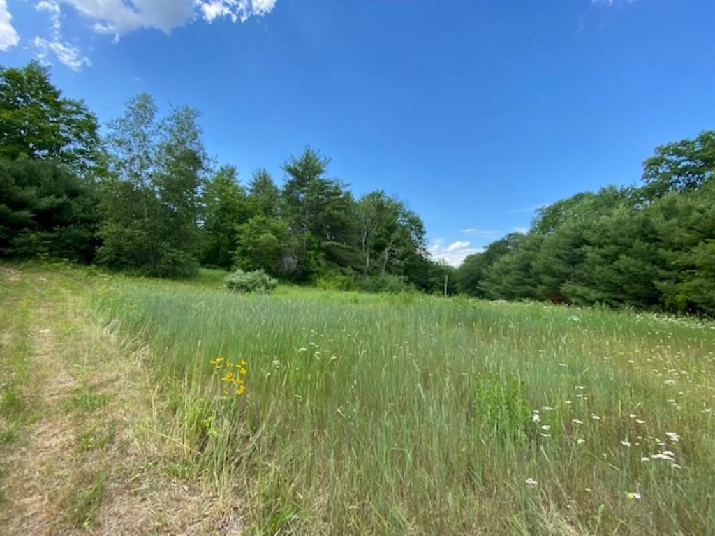 51 Old Hancock Road Antrim, NH 03440 - Photo 25 of 27