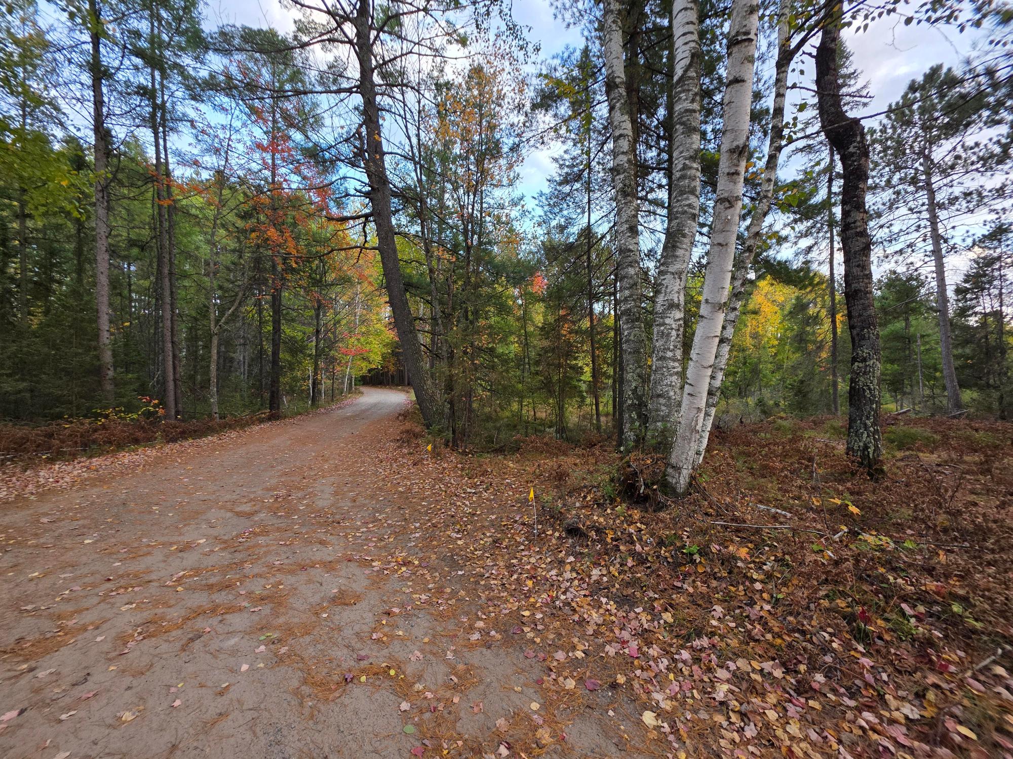 3889 Lakeshore Drive Rhinelander, WI 54501 - Photo 34 of 37 Gallery Image 34