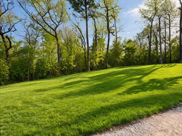 a backyard of a house with lots of green space