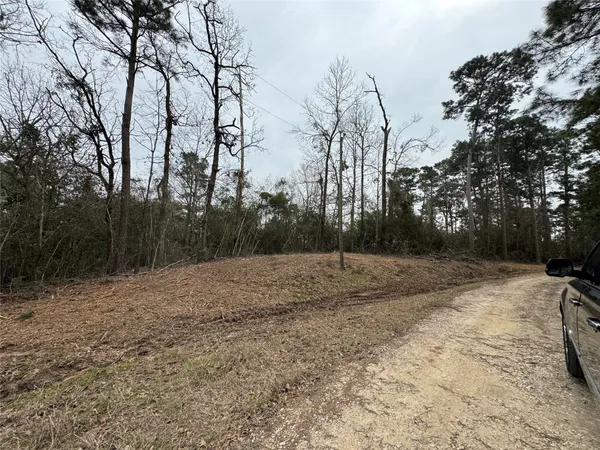 $19,500 | Lot 69 Wildwood Harbor Circle, Onalaska, TX 77360