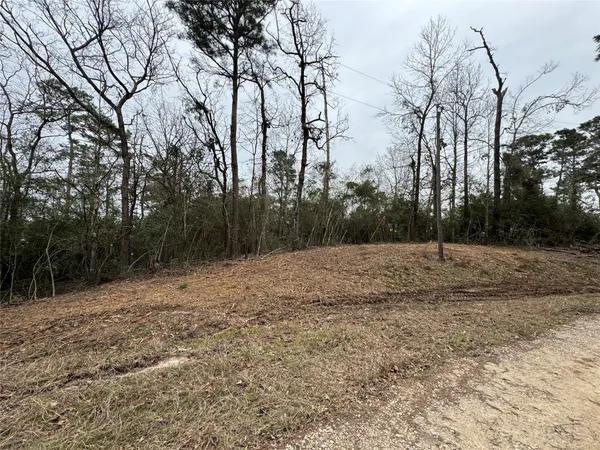 $19,500 | Lot 69 Wildwood Harbor Circle, Onalaska, TX 77360