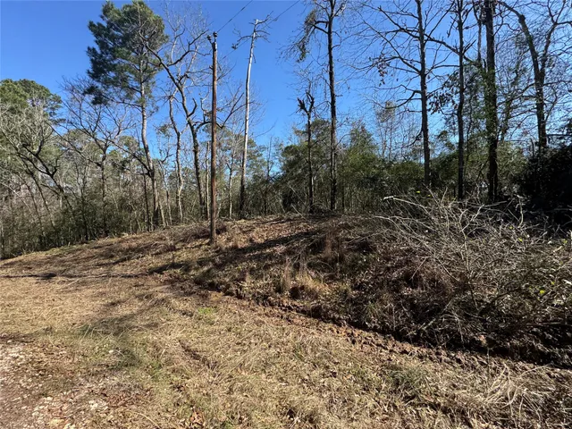 $19,500 | Lot 69 Wildwood Harbor Circle, Onalaska, TX 77360