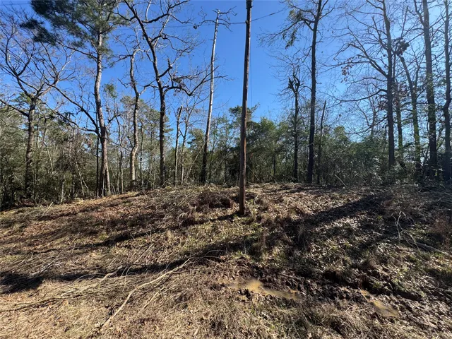 $19,500 | Lot 69 Wildwood Harbor Circle, Onalaska, TX 77360