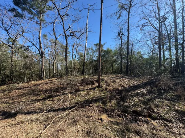 $19,500 | Lot 69 Wildwood Harbor Circle, Onalaska, TX 77360