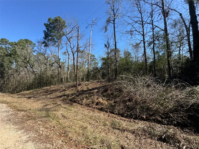 $19,500 | Lot 69 Wildwood Harbor Circle, Onalaska, TX 77360