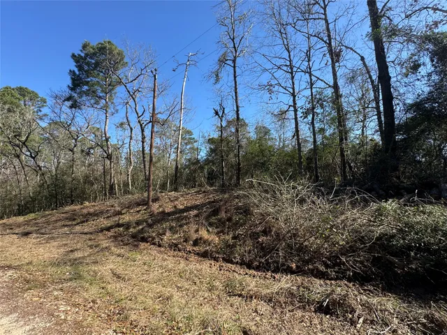 $19,500 | Lot 69 Wildwood Harbor Circle, Onalaska, TX 77360