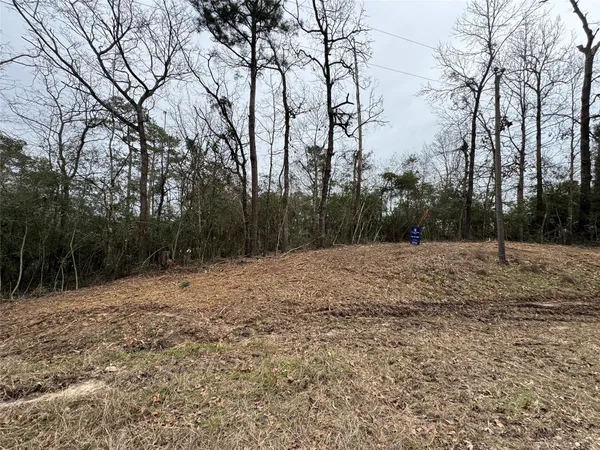 $19,500 | Lot 69 Wildwood Harbor Circle, Onalaska, TX 77360