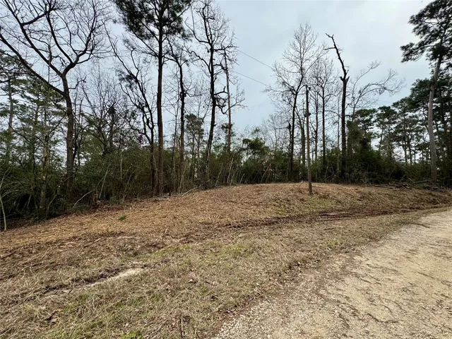 $19,500 | Lot 69 Wildwood Harbor Circle, Onalaska, TX 77360