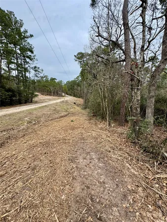 $19,500 | Lot 69 Wildwood Harbor Circle, Onalaska, TX 77360