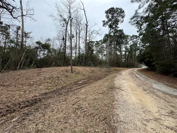 $19,500 | Lot 69 Wildwood Harbor Circle, Onalaska, TX 77360
