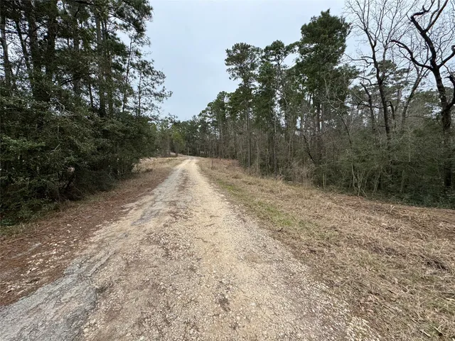 $19,500 | Lot 69 Wildwood Harbor Circle, Onalaska, TX 77360