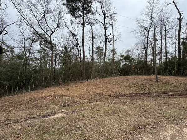a view of a dry yard with trees