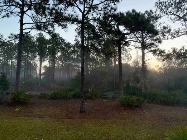 $459,900 | 332 Royal Tern Way, Carrabelle, FL 32322