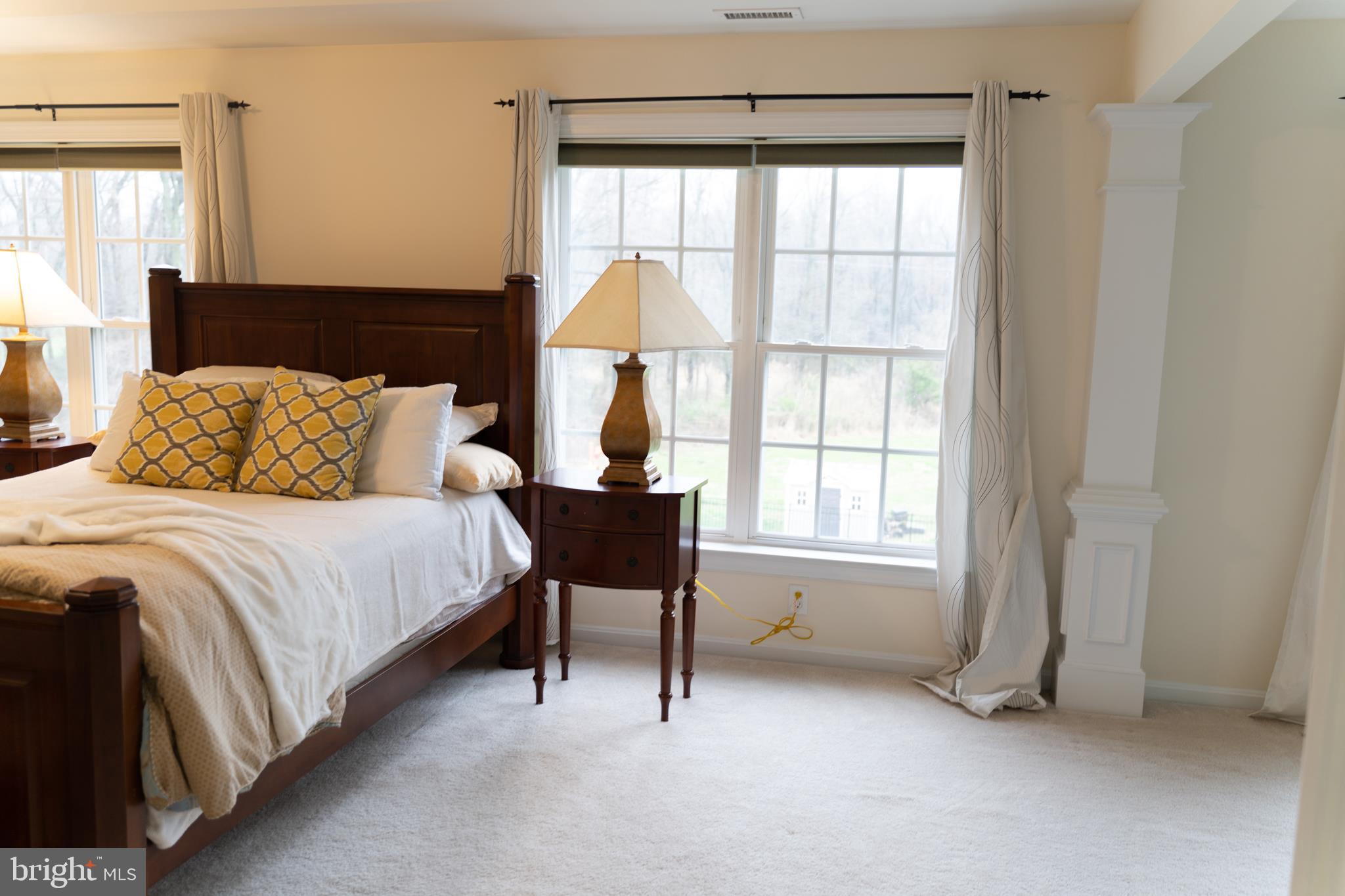 226 Hopkins Road Mickleton, NJ 08056 - Photo 21 of 36 MASTER BEDROOM