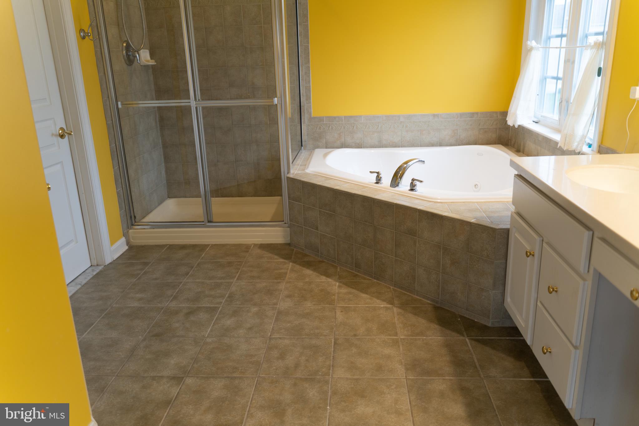 226 Hopkins Road Mickleton, NJ 08056 - Photo 25 of 36 SOAKING TUB
