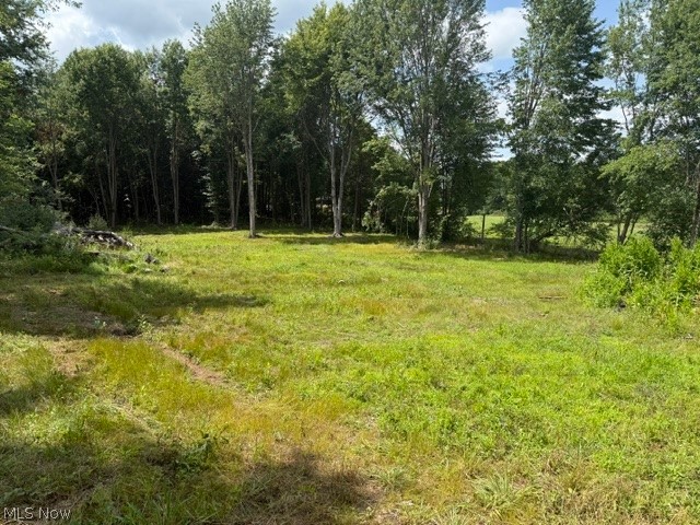 3281 Biltz Road Kent, OH 44240 - Photo 4 of 6