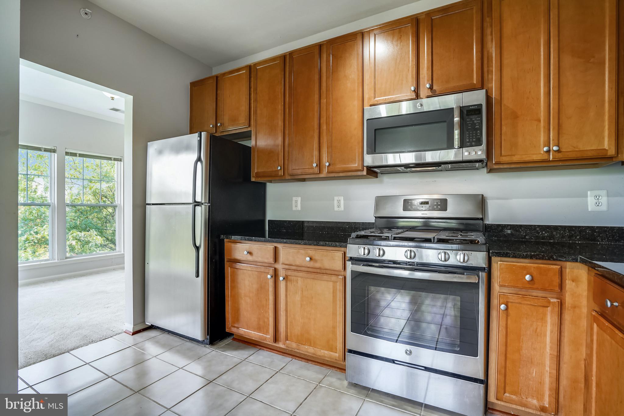 1515 North Point Drive, Unit 301 Reston, VA 20194 - Photo 13 of 32 Gourmet kitchen and Stainless appliances