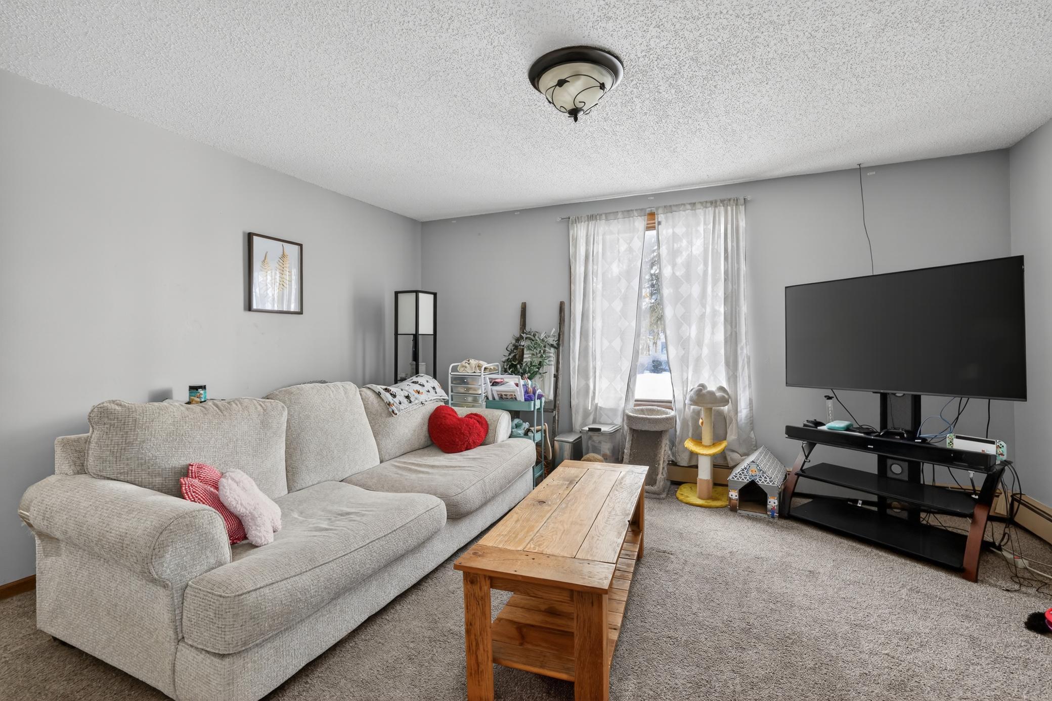 202 West Main Street Adams, MN 55909 - Photo 4 of 27