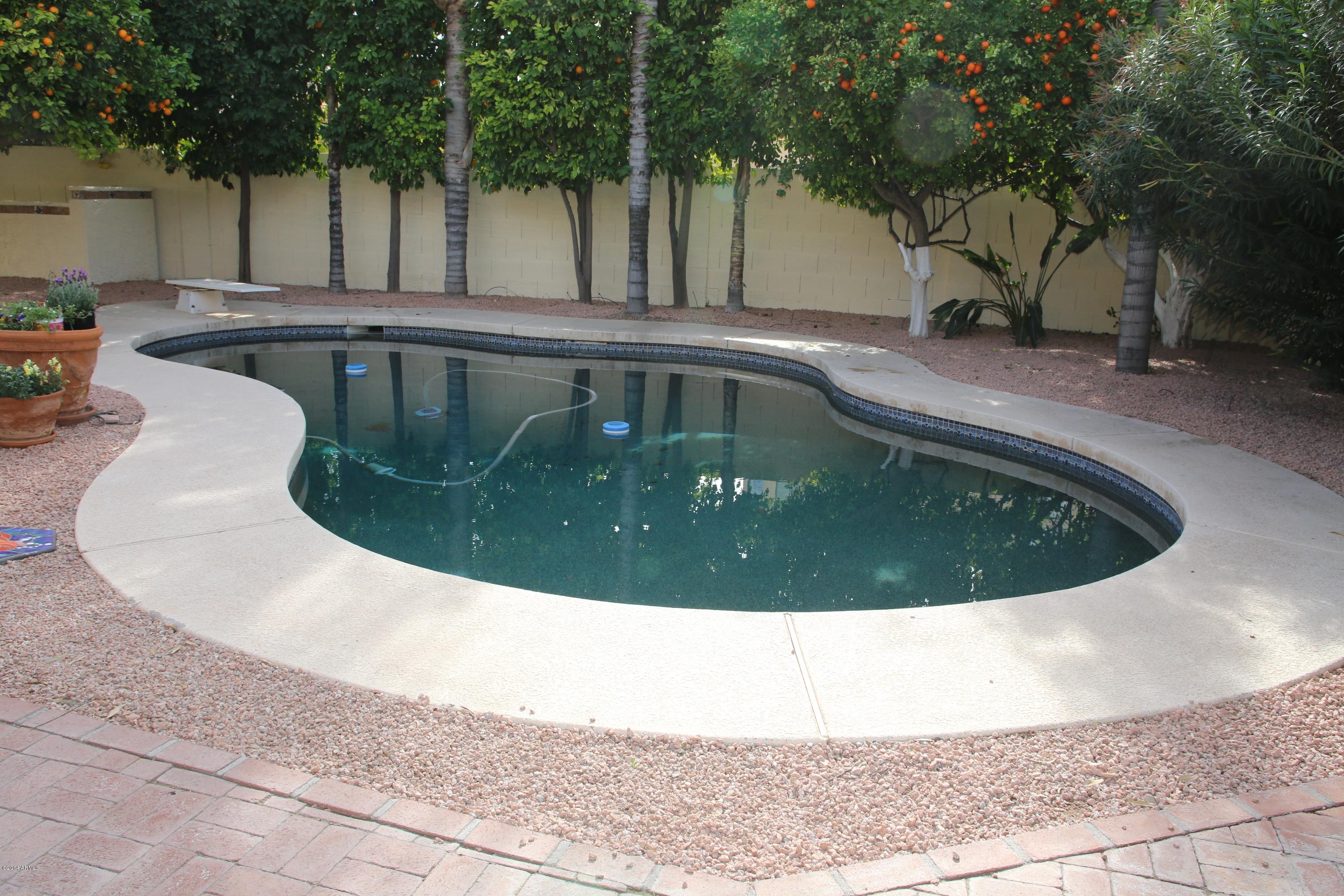 283 East Rhea Road Tempe, AZ 85284 - Photo 24 of 36 446B9353
