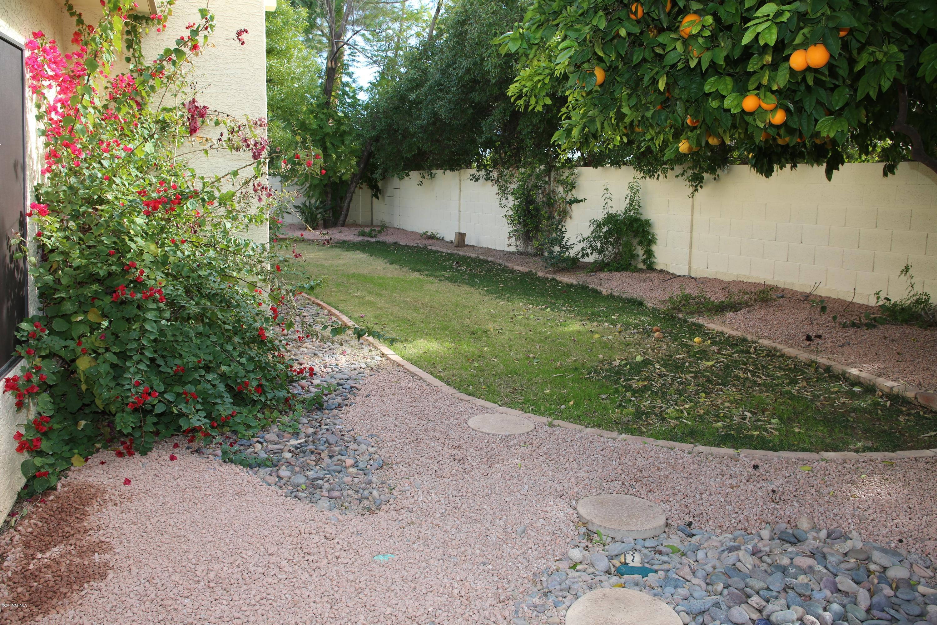 283 East Rhea Road Tempe, AZ 85284 - Photo 26 of 36 446B9361