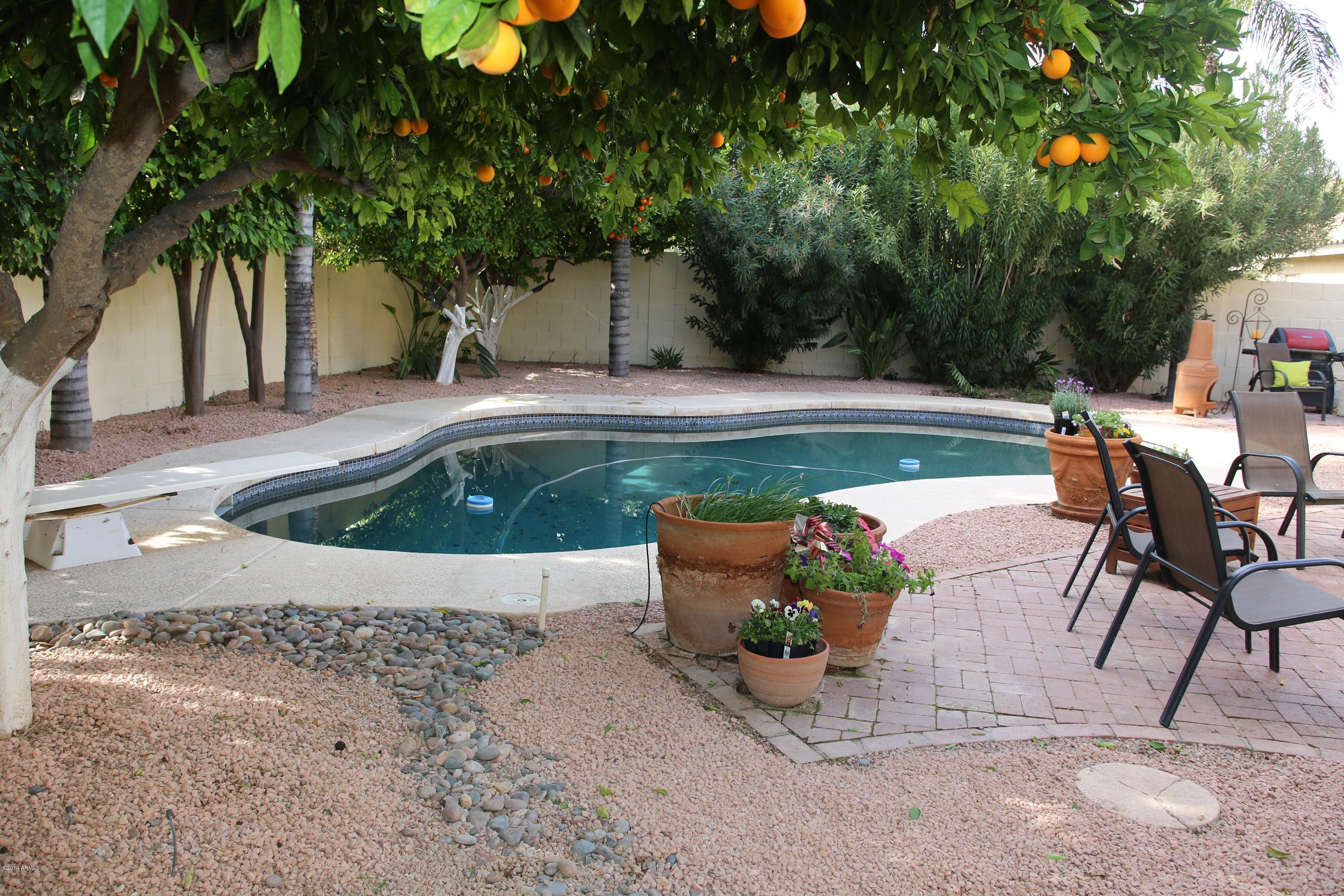 283 East Rhea Road Tempe, AZ 85284 - Photo 28 of 36 446B9371
